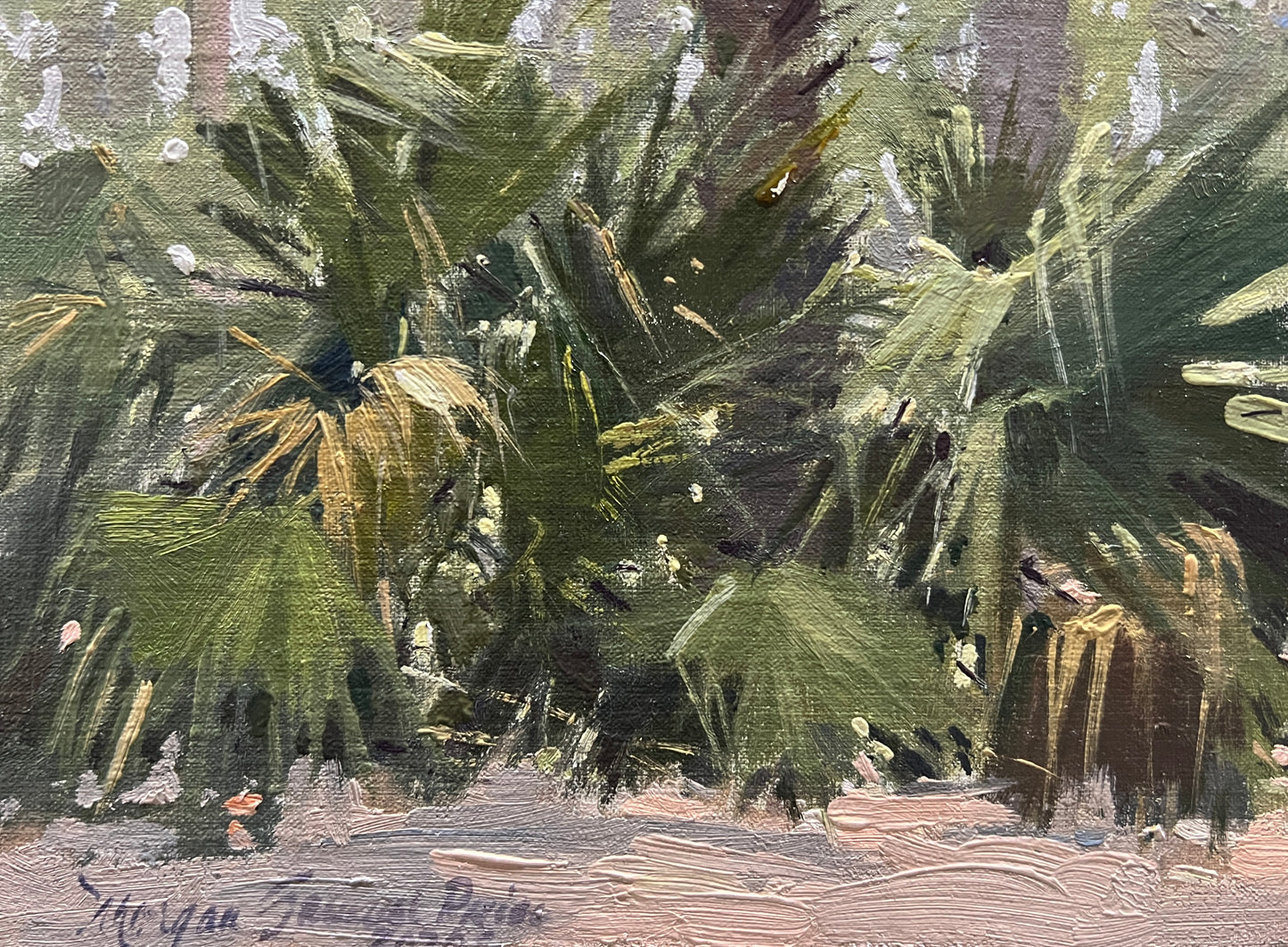 Myakka Palms