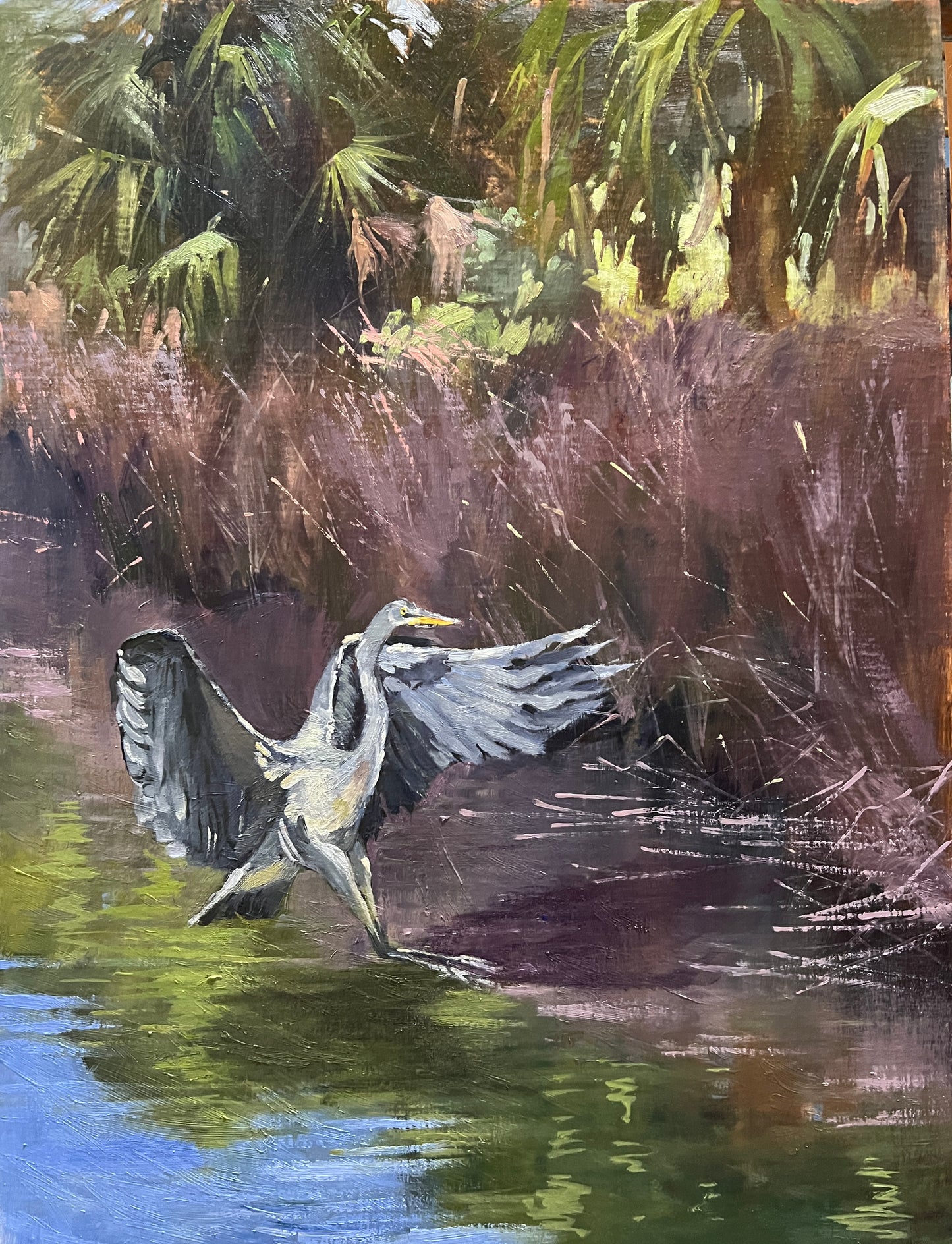 Flaps Down Look Out Below