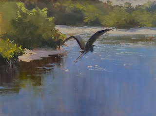 Flight Over Indian Lagoon
