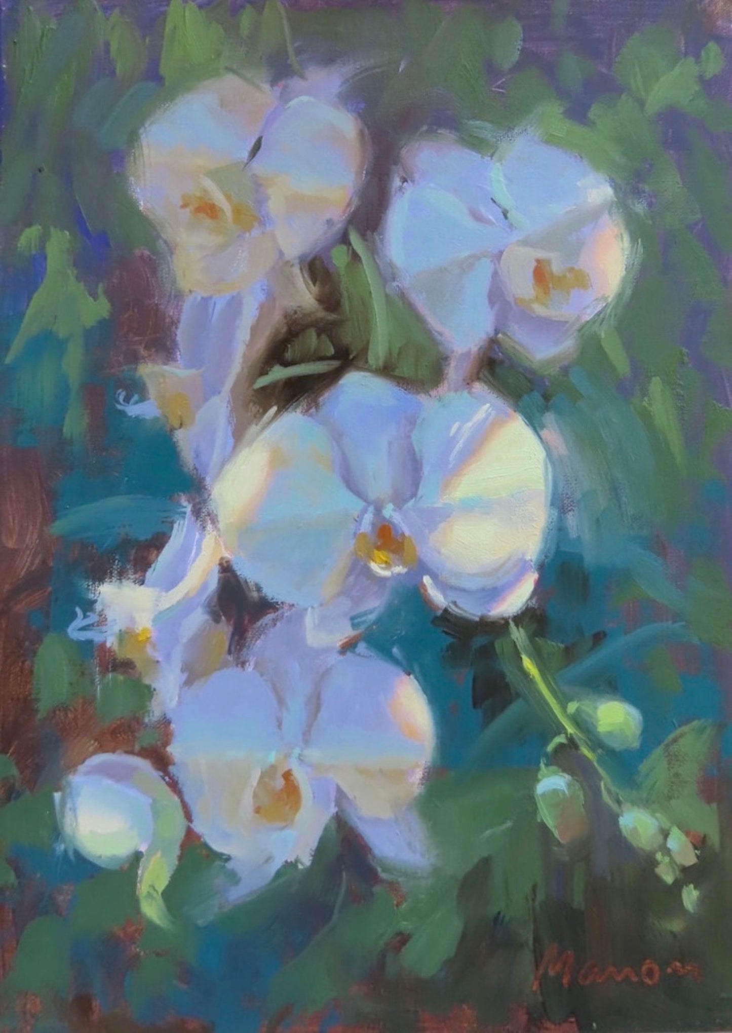 Hidden Beauty