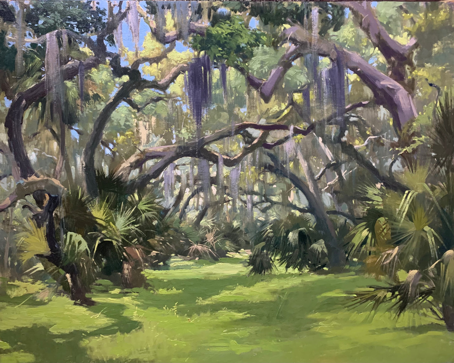 Cathedral Oaks