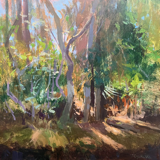 Florida Rays