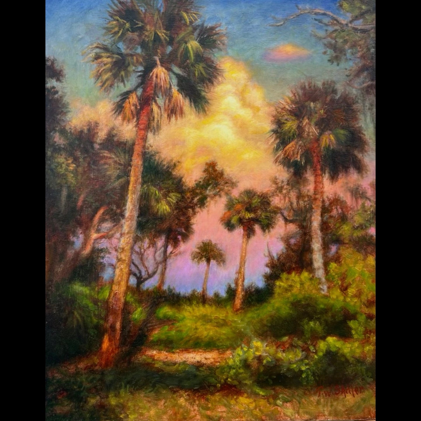 Mosquito Lagoon Palms