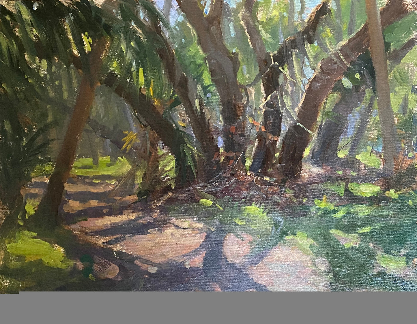 Myakka Morning