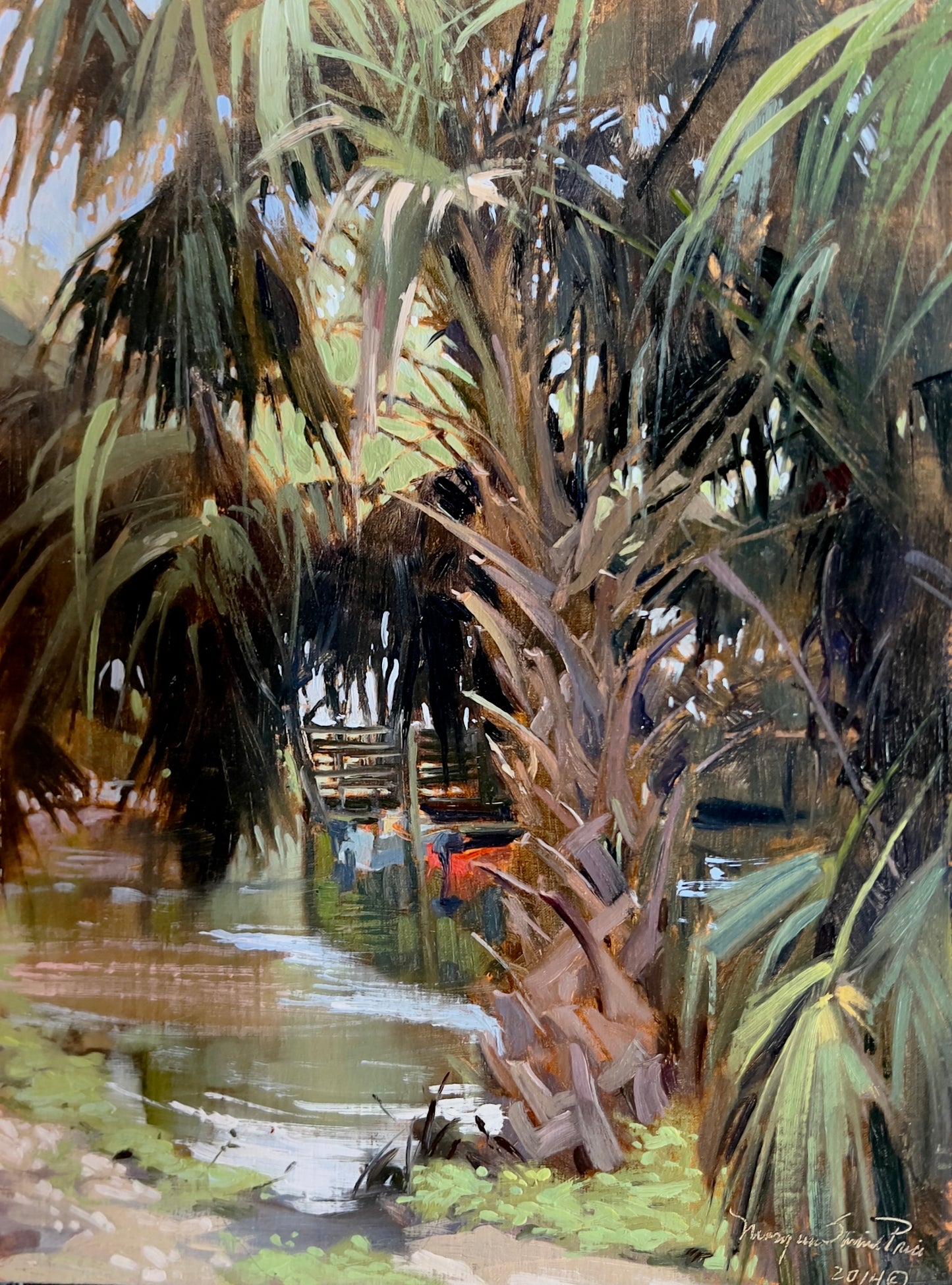 Sabal Palm