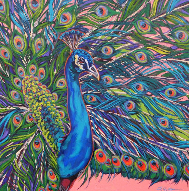 Palm Beach Peacock