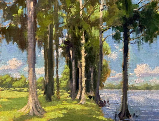 Cypress By Lake Mills Road