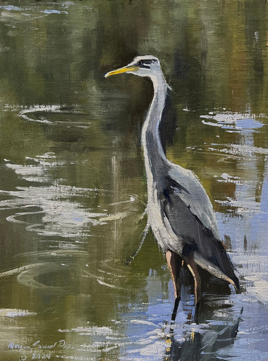 Great Blue Heron