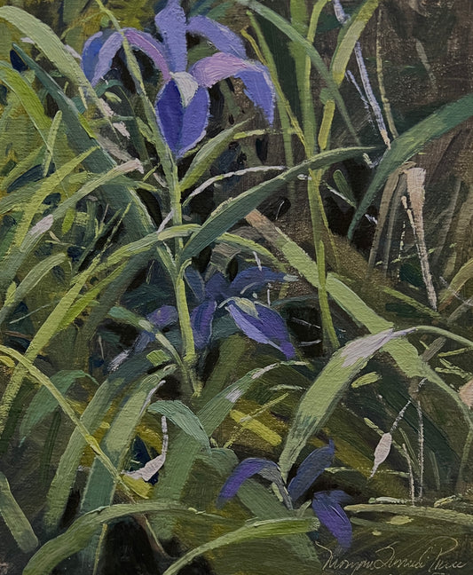 Wild Iris
