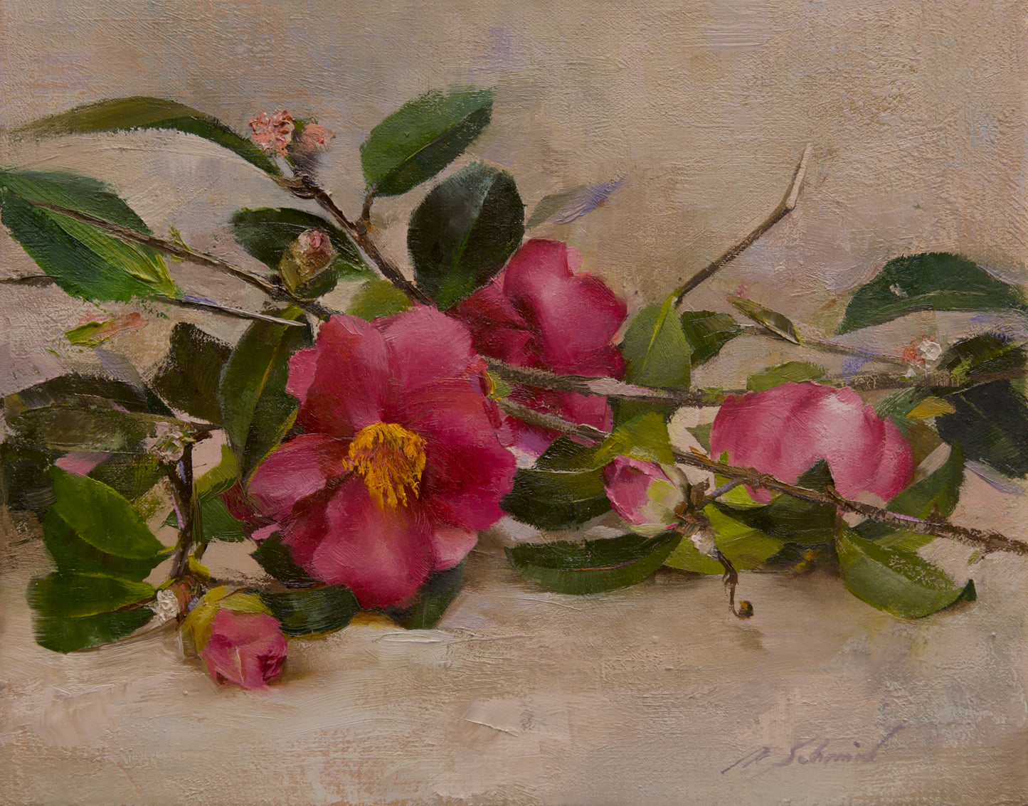 Molly's Camellias